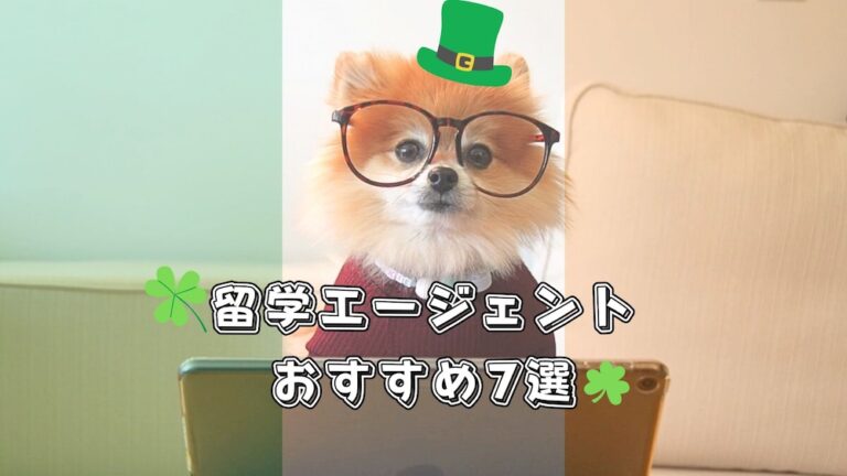 アイルランド留学エージェントおすすめ7選- 1